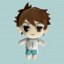 personalized volleyball boy and Kawacho 1 plush toys for fan