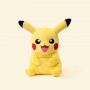 DIY customized pokemon let's go pikachu plushie supplier