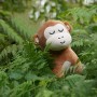 pesonalized monkey plush toy