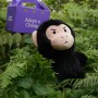 customized chimp plush toy