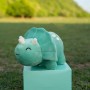 how to personalized Triceratops Plushie