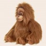 where to buy The Orangutan Plush