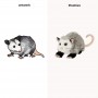 How-to-get--Harry-Plush-Opossum-Stuffed-Animal