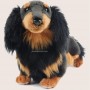 Your personalized Dachshund Longhair plush