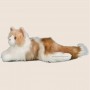 Peluche chat Ragdoll : votre compagnon doux et câlin