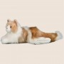 Where to get Ragdoll Cat Plush Stuffed Animal