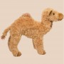 where to buy Camel Plush Stuffed Animal