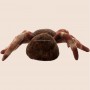 how to customized Tarantula Stuffed Animal