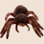 Peluche Tarentule Assise : Votre compagnon arachnide câlin