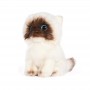 how to get Siamese Cat Plush 26cm Toy