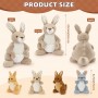 how to find Australian Wildlife Plush Gift OEM 5 Pcs Unisex Kangaroo