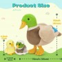 how to find Custom Oem Odm Gifts Colorful Soft Wild Duck Family
