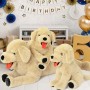 Labrador Stuffed Animal Toy Sensory Training Plushie