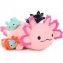 how to buy Axolotl Plush Toy High Quality
