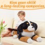 how to buy Bernese Mountain Dog Plush Safe Design
