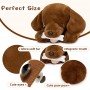 how to find Dark Brown Plush Labrador Toy