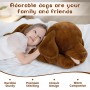 where to get Dark Brown Plush Labrador Toy