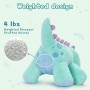 how to find Emotional Soothing Weighted Beads Blue Stegosaurus Plush Toy