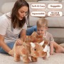 Brauner Triceratops Plüsch-Dinosaurier, ultraweiches Kuscheltier für Kinder, ideal für Abenteuer und Spielzimmer.