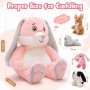 how to buy Care Bear Cuddly Toy 5Pcs 18inch Mother Rabbit & Baby Bunny Plush
