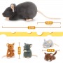 Maus-Plüschtier-Set, 5-teilig, Ratten-Plüschtier-Set, 61 cm große Mama-Maus-Plüschtier mit 4 Babys