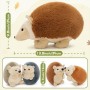 how to find Hedgehog Plush Toy Set