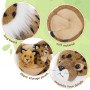 Lynx Plush 5-Piece Bobcat Stuffed Animals
