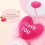 how to find Teddy Bear Plushie Cute Pink