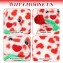 where to get Anniversary Dalmatian Plush Toy