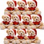 where to buy Christmas Teddy Bear Chinese Toy