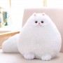 where to get Kawaii Stuffed Animal Plush Cat Toy