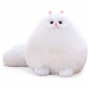 how to find Kawaii Stuffed Animal Plush Cat Toy