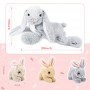 how to buy Care Bear Soft Toy 4Pcs 24inch Unisex