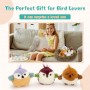 where to buy Parrot Plush Toy Set