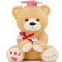 how to get Graduation Teddy Bear Cute Soft Plush