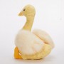 how to get Plush Duck Toy Soft Stuffed Animal