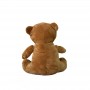where to get Custom Teddy Bear Plush