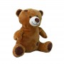 how to buy Custom Teddy Bear Plush