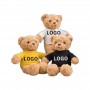 how to get Custom Teddy Bear Plush Custom T-Shirt Logo
