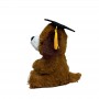 High Quality Plush Bear Toy Super Soft Plush Graduation Gift