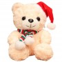 how to get Christmas Teddy Bear Plush Custom Logo Printed Stuffed Bear for Kids