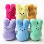where to buy Easter Bunny Plush Toy