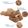 where to find Custom Weighted Teddy Bear