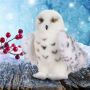 Snowy Owl Plush Stuffed Animal Super Soft Personalized Plush Toy Gift for Kids and Collectors