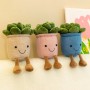 Plante succulente en pot, en peluche, petite plante décorative, poupée en peluche pour enfants