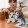 where to buy Dog Plush Toys Cute Soft Stuffed Animal