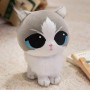 Peluche Chat Kawaii, Grands Yeux Kawaii, Peluche Dessin Animé Parfumée