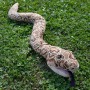 Peluche Python, Serpent en peluche réaliste, Idéal pour la décoration et les cadeaux