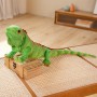Lézard en peluche réaliste, dragon barbu en peluche réaliste, reptile en peluche réaliste