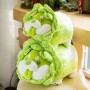 Fabricant et fournisseur en gros de peluches Cabbage Dog, spécialisé dans les jouets en peluche personnalisés